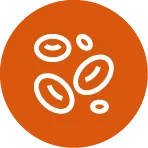 Thrombocytémie essentielle Thrombocytémie essentielle